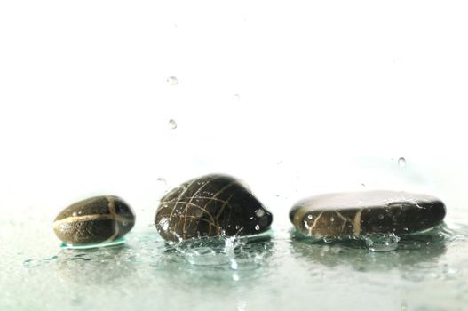 isolated wet zen stones with splashing  water drops  representing concept of natural balance and perfect harmony