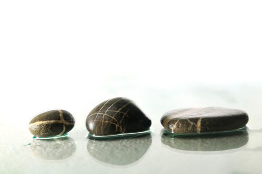 isolated wet zen stones with splashing  water drops  representing concept of natural balance and perfect harmony