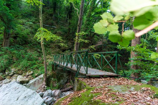 Wooden bridge in Pelion forest, Greece
