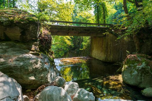 Stoned bridge in Pelion forest, Greece