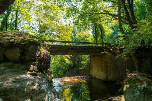 Stoned bridge in Pelion forest, Greece