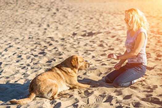 Portrait of young beautiful woman in sunglasses sitting on sand beach with golden retriever dog. Girl with dog by sea. Happiness and friendship. Pet and woman. Woman playing with dog on sea shore. Sun flare