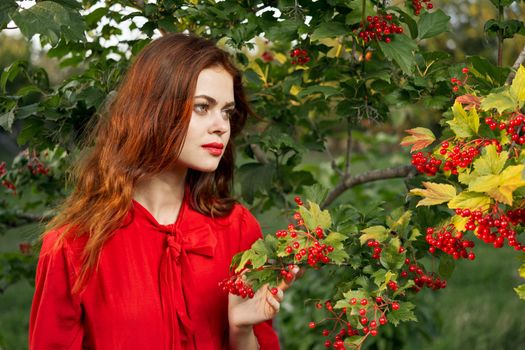 woman in red shirt near bush berries nature summer. High quality photo