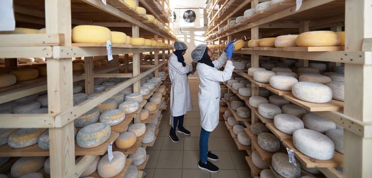 middle eastern black african muslim female business woman team in local  cow and goat milk cheese food production company