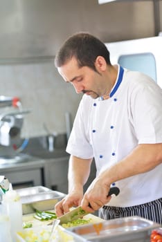 Handsome chef dressed in white uniform decorating pasta salad and seafood fish in modern kitchen