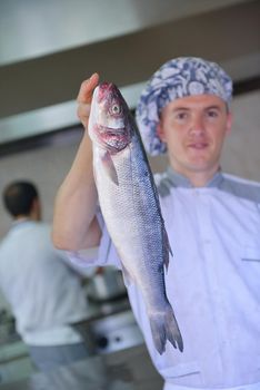 Handsome chef dressed in white uniform decorating pasta salad and seafood fish in modern kitchen