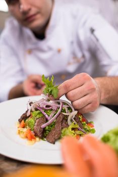 cook chef decorating garnishing prepared meal dish on the plate in restaurant commercial kitchen