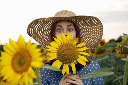 Walk in the sunflower field nature charm outdoor activities. High quality photo