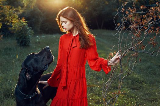 fashion attractive woman in black purebred dog outdoors. High quality photo