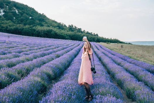 Lavender flower blooming scented fields in endless rows. Selective focus on Bushes of lavender purple aromatic flowers at lavender field. Abstract blur for background.