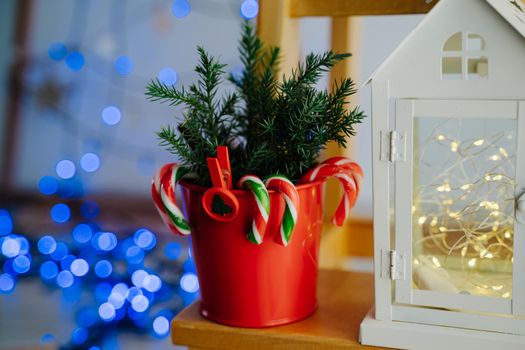Red pot with Christmas ledins and juniper twigs. Red clothespin with Christmas tree. White little house garland with warm light. Blue bokeh in the background.