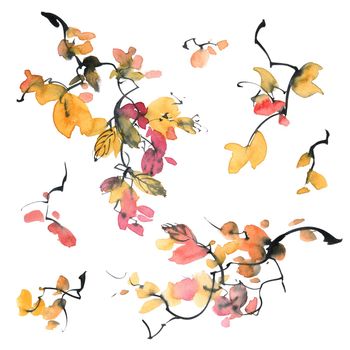 Watercolor and ink illustration of twig with leaves. Oriental traditional painting in style sumi-e, u-sin and gohua.