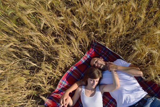 happy young couple in love have romance and fun at wheat field in summer