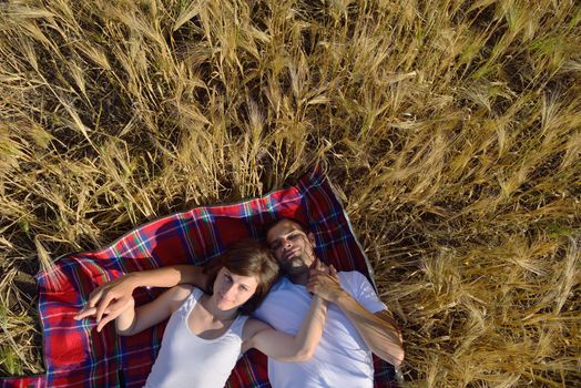 happy young couple in love have romance and fun at wheat field in summer