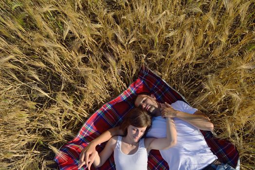 happy young couple in love have romance and fun at wheat field in summer