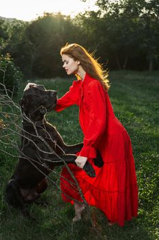 woman in a red dress in a field with a black dog Friendship fun. High quality photo