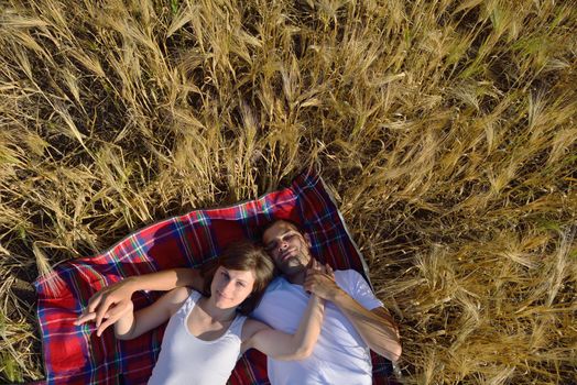 happy young couple in love have romance and fun at wheat field in summer