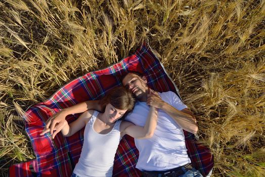 happy young couple in love have romance and fun at wheat field in summer