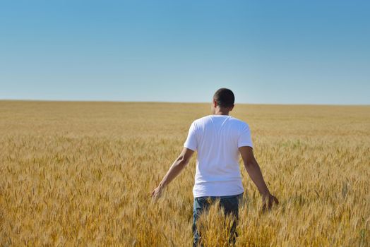 young man in wheat field representing success agriculture and freedom concept