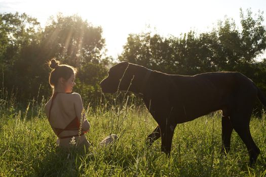 cheerful woman playing with a dog in a field in nature in summer. High quality photo