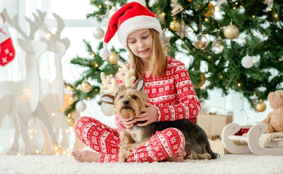 Child girl and dog with Christmas tree on background at home. Kid wearing on doggy pet decorated deer New Year ears