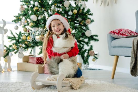 Child girl holding ragdoll cat in Christmas time and sitting on sled. Pretty kid wearing Santa hat with domestic animal at home in New Year with decorated tree