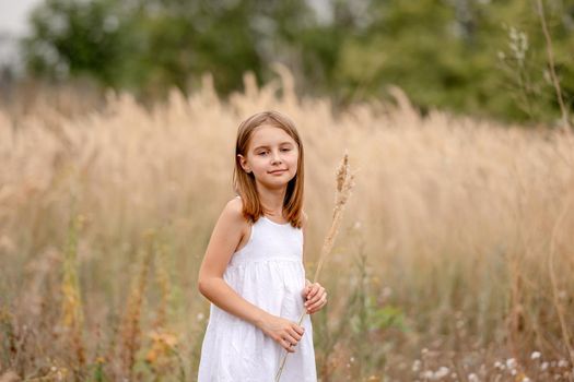 Preteen girl in the field. Cute female kid child portrait at nature