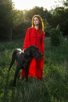 woman in a red dress in a field with a black dog Friendship fun. High quality photo