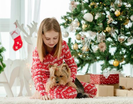 Child girl with dog sitting on floor with Christmas tree on background and petting doggy. Kid and pet enjoying New Year time and decoration at home