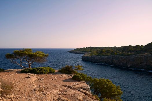 Coastal landscape between cliffs with vegetation. Cloudless sky. Balearic Islands. Mediterranean Sea