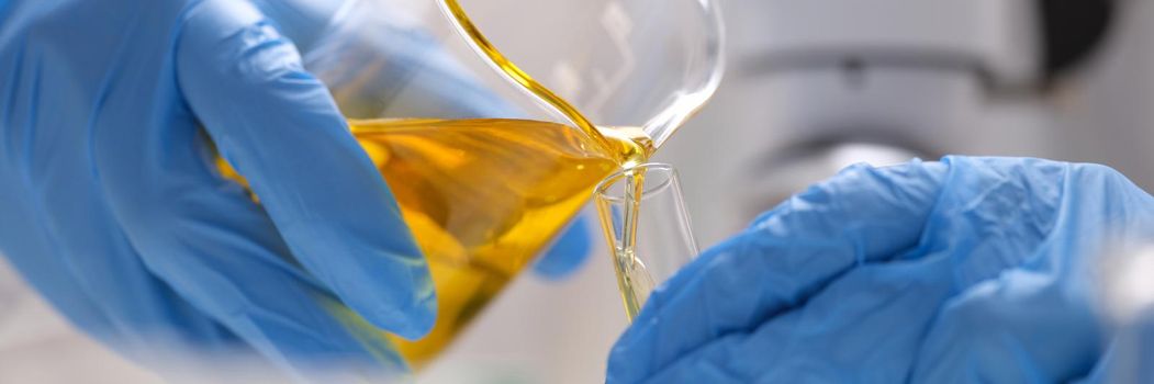 Gloved scientist pours yellow oily liquid from flask into test tube. Laboratory glassware and oil experiments concept