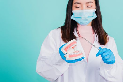 Asian beautiful woman dentist holding professional tool and pointing model teeth denture, female doctor checking denture isolated on blue background. Dental hygiene surgery health care concept