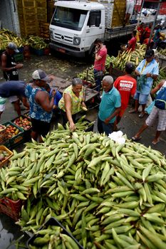 salvador, bahia, brazil - june 17, 2019: green corn for sale at the São Joaquim fair in the city of Salvador.
