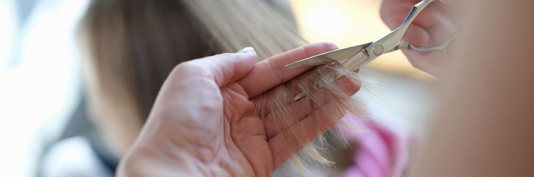 Master hairdresser cuts split ends of hair with scissors. Hair care concept