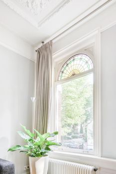 View of a beautiful window with a curtain and a flower nearby