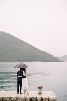 Bride and groom are on the pier under an umbrella. Back view. High quality photo