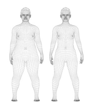 Fat and slim woman, before and after weight loss. 3d illustration