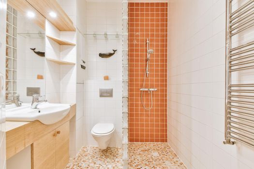 Interior of contemporary bathroom with shower and sink in minimal style in flat