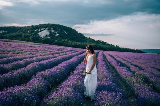 Lavender flower blooming scented fields in endless rows. Selective focus on Bushes of lavender purple aromatic flowers at lavender field. Abstract blur for background.