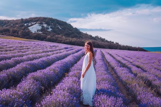 Lavender flower blooming scented fields in endless rows. Selective focus on Bushes of lavender purple aromatic flowers at lavender field. Abstract blur for background.