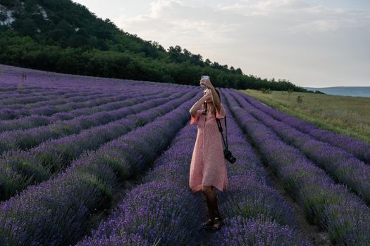 Lavender flower blooming scented fields in endless rows. Selective focus on Bushes of lavender purple aromatic flowers at lavender field. Abstract blur for background.