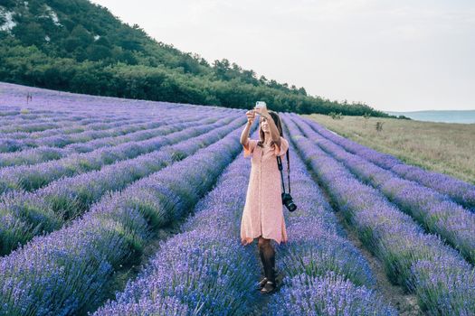 Lavender flower blooming scented fields in endless rows. Selective focus on Bushes of lavender purple aromatic flowers at lavender field. Abstract blur for background.