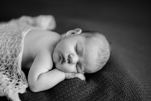 Naked baby sleeps on blanket. Portrait. Black and white photo. High quality photo