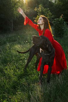 woman in a red dress in a field with a black dog Friendship fun. High quality photo