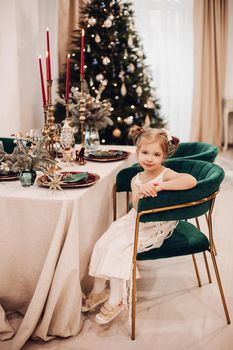 attractive caucasian girl in beautiful dress in the kitchen near the christmas tree and smiles