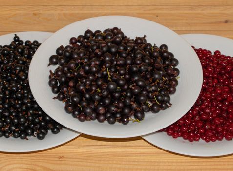 Red and black currant in the plates.