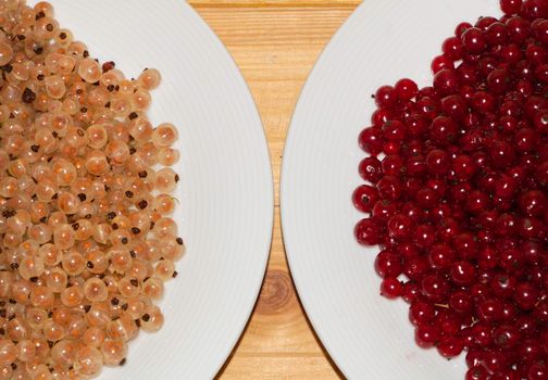 Red currant vs white in the plate.