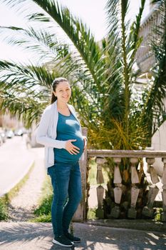 Smiling pregnant woman standing near a stone balustrade. High quality photo