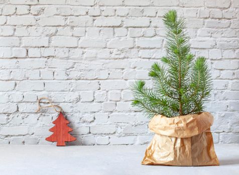 mini Christmas tree in a craft paper bag on the brickwall background, zero waste concept