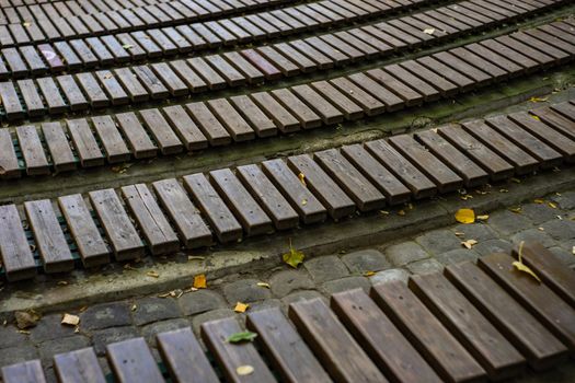 Autumnal park bench with yellow leaves